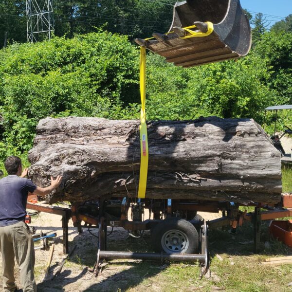 Ballfield Spalted Maple photo